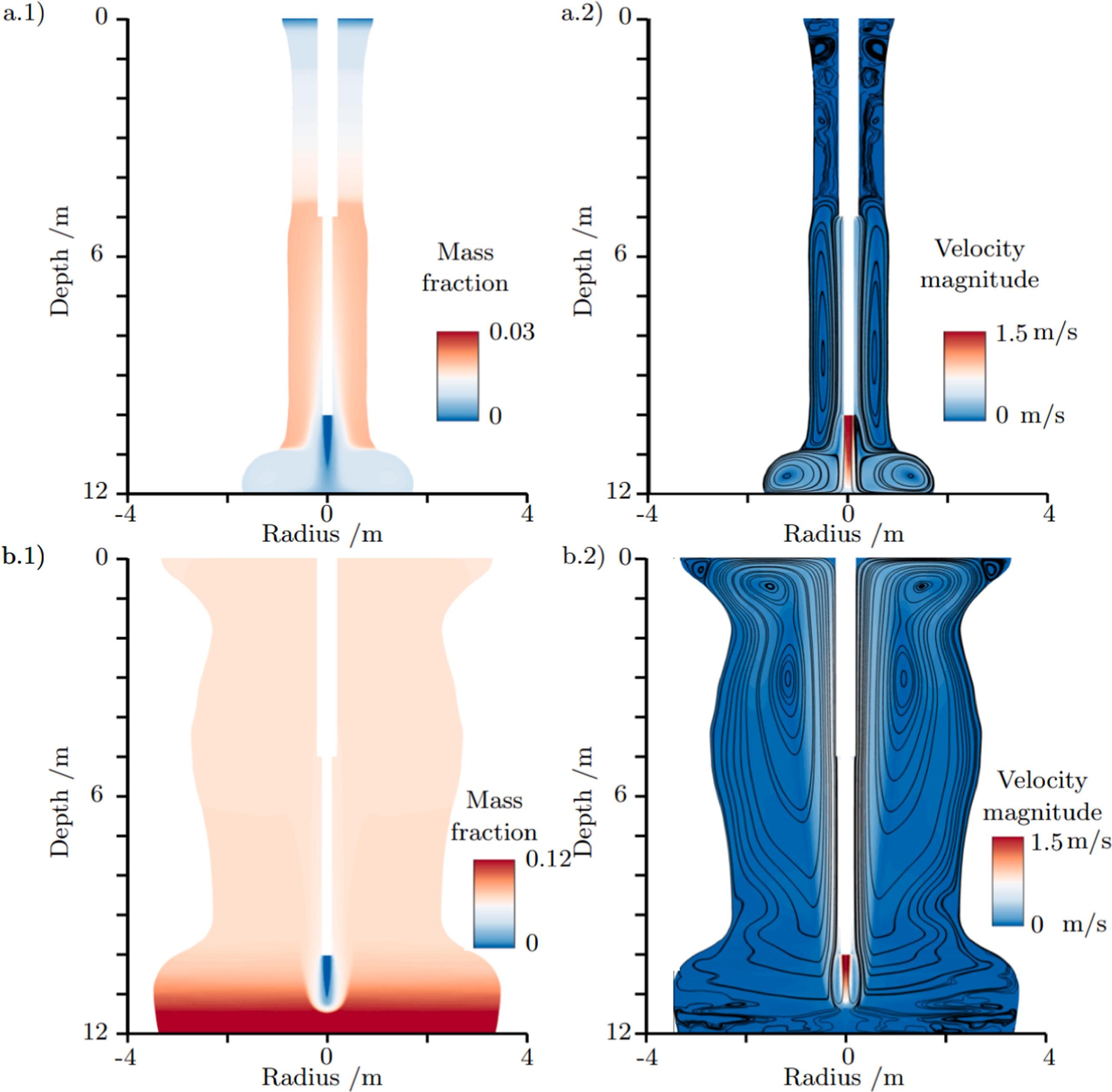 Salt concentration and flow inside evolving caverns